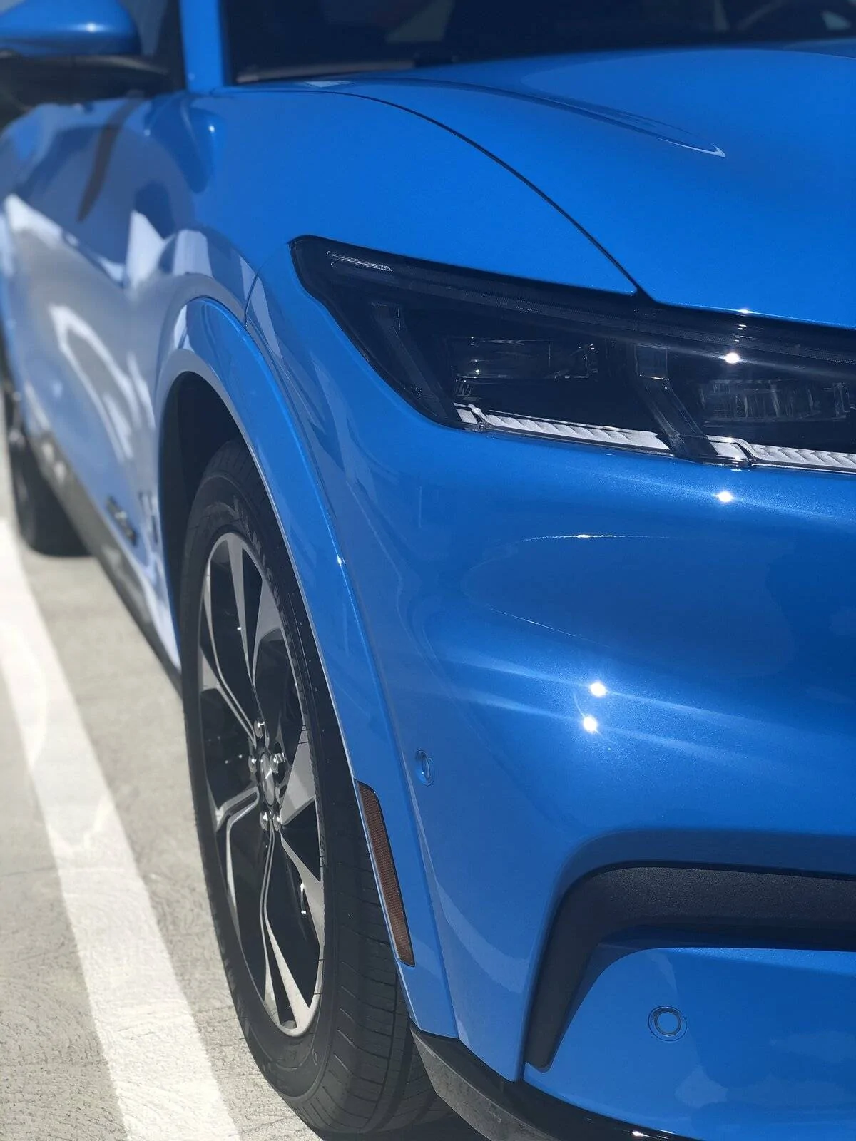 Ford Mustang Mach-E Ceramic Coating to my Grabber Blue FE AE70F244-104C-4446-B48F-AD1E3A253F0A