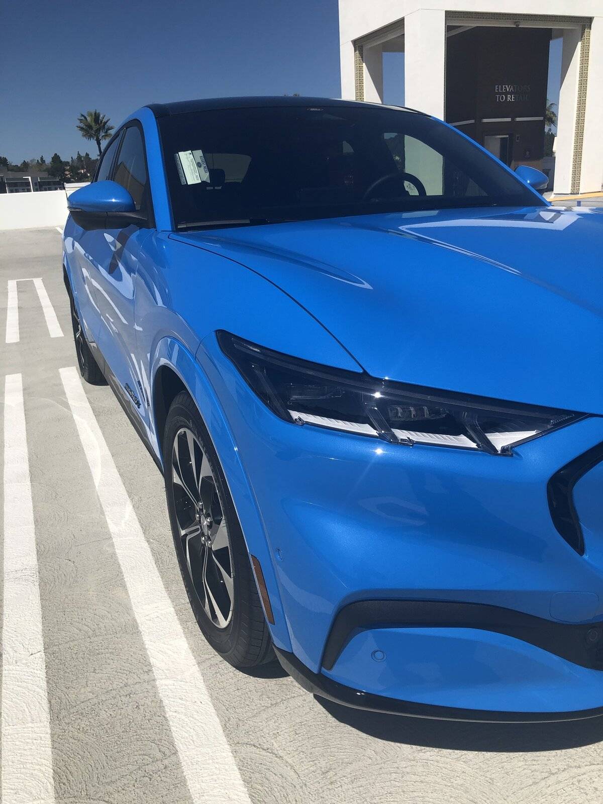 Ford Mustang Mach-E Ceramic Coating to my Grabber Blue FE 18B379BF-69E3-4039-98ED-EB9F4E78590C