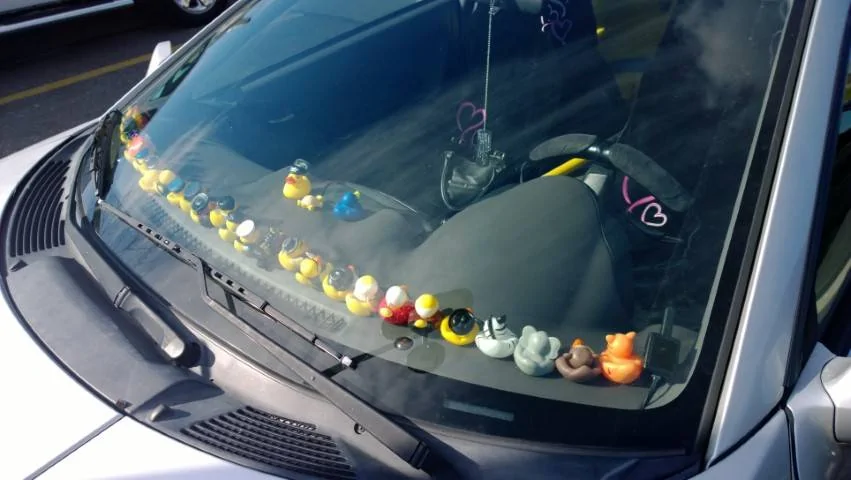 Ford Mustang Mach-E hey, I have a car! 2013-10-20 Rubber ducks on car dash (Small)