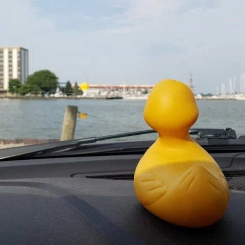 Ford Mustang Mach-E hey, I have a car! 2018-07-14 World's Largest Rubber Duck (Sandusky, OH) 091151_536 (Small)