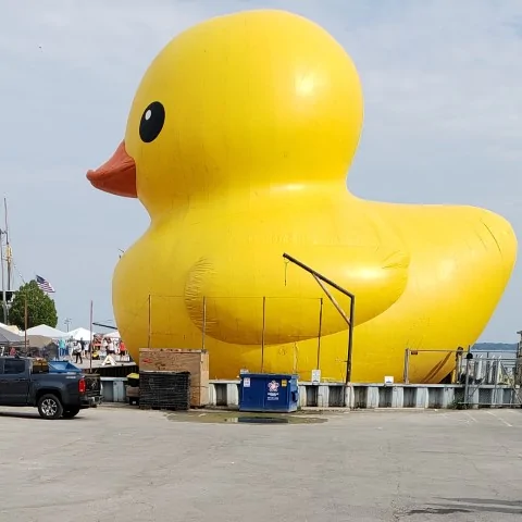 Ford Mustang Mach-E hey, I have a car! 2018-07-14 World's Largest Rubber Duck (Sandusky, OH) 092209_701 (Small)