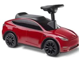 Ford Mustang Mach-E ok, I give up, Model X it is New Y