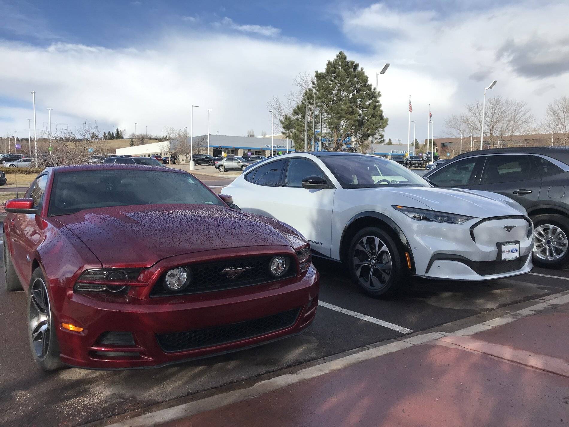 Ford Mustang Mach-E SPACE WHITE Mach-E Photos CAD528A2-7A81-4EE8-AD28-E3D79A4AFBB3