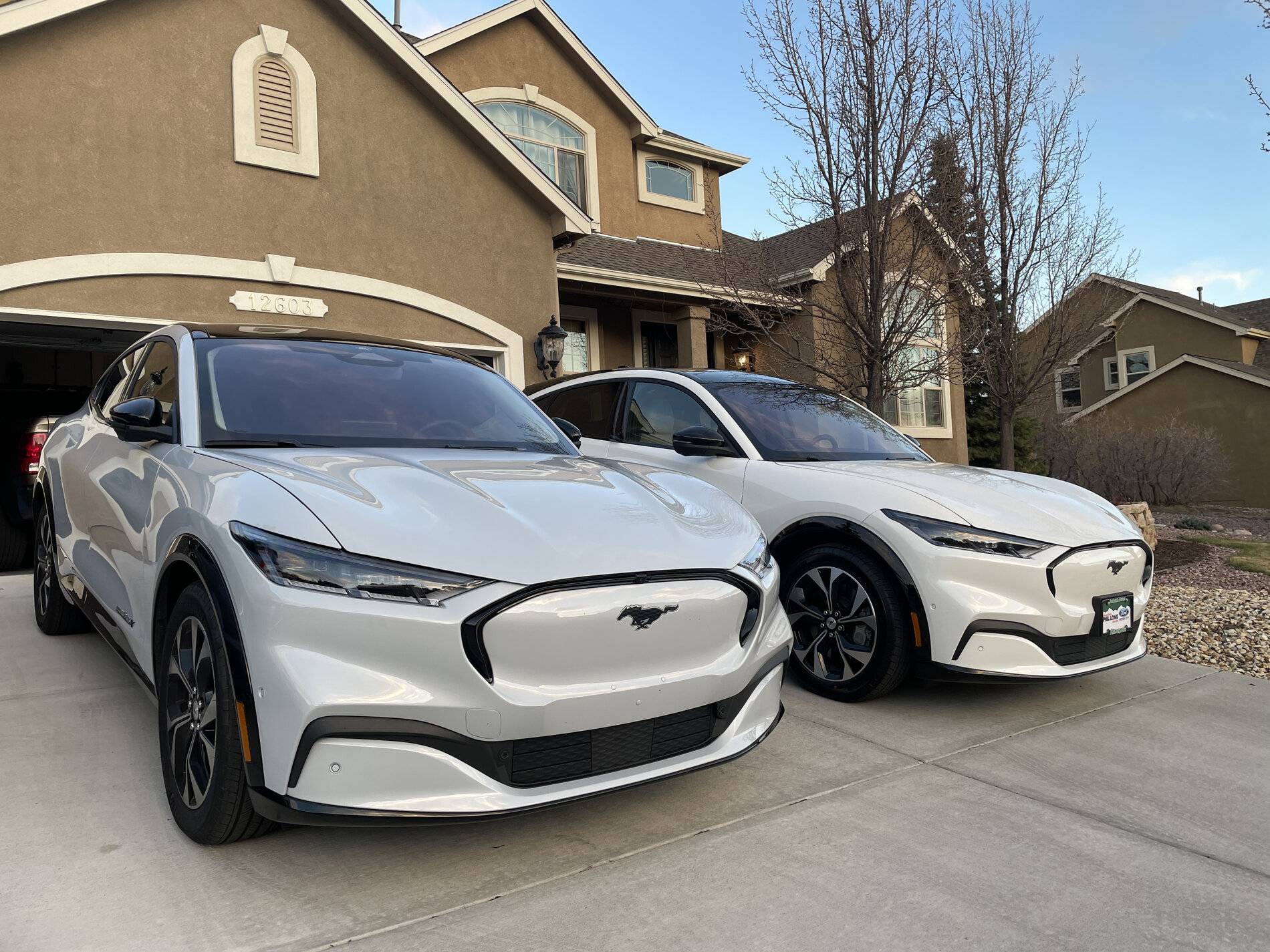 Ford Mustang Mach-E Space White vs Star White Mach-E Pics E3E78995-CD00-4777-8812-0DBBBBECCA25