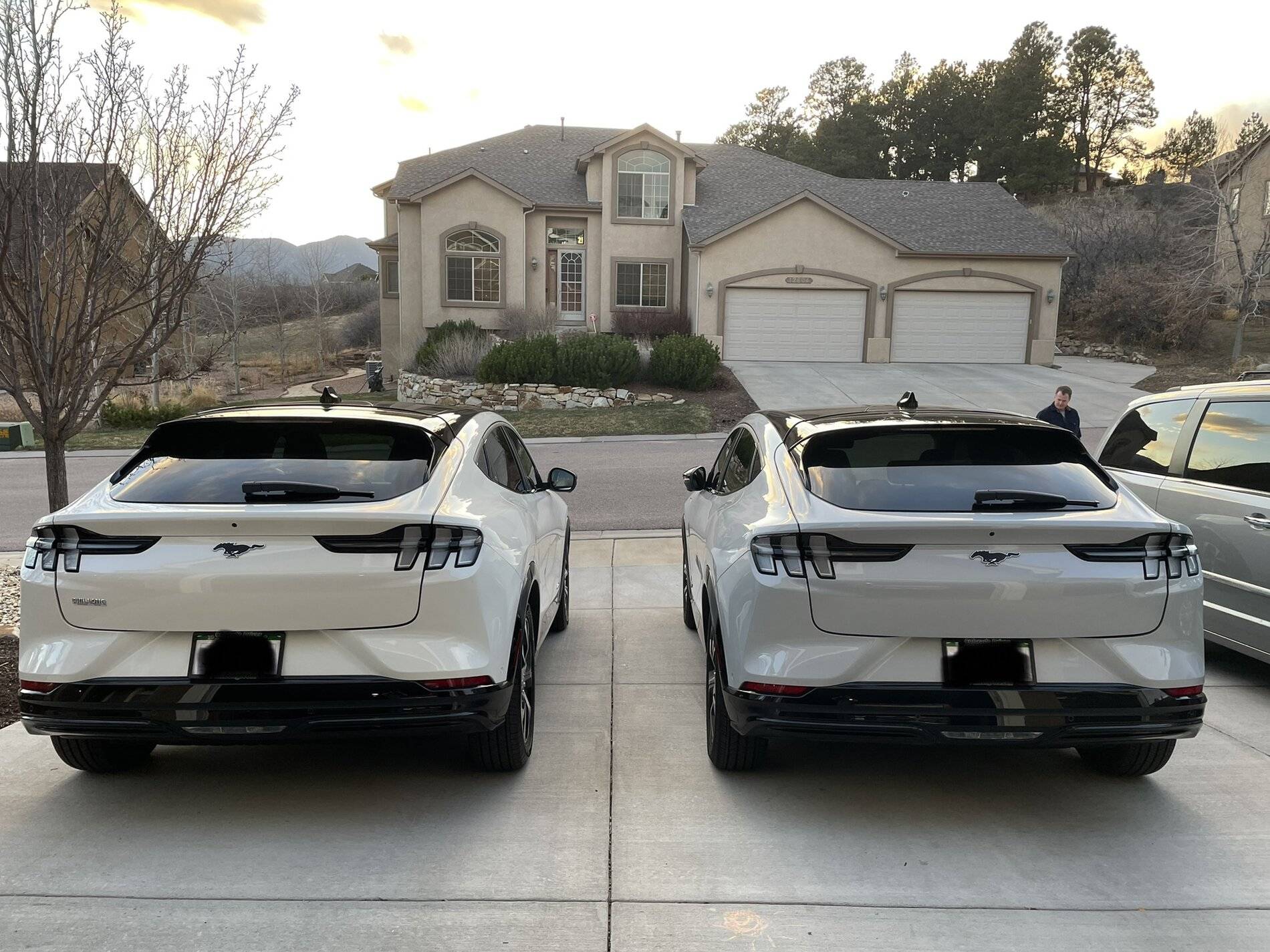 Ford Mustang Mach-E Space White vs Star White Mach-E Pics 4BC00AAB-E803-4013-9856-F2DE60E03708
