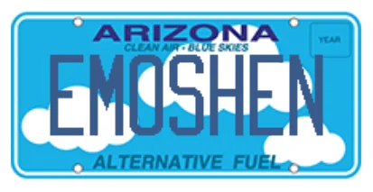 Ford Mustang Mach-E Custom license plate ideas 1618185650444