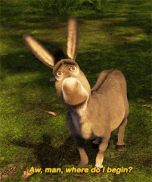 tenor-3.gif