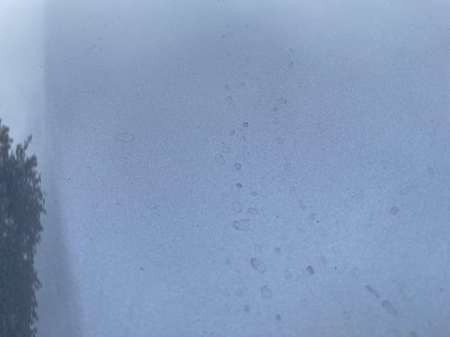 Ford Mustang Mach-E Ugh... Water Spots! EC7BDD00-F11B-4F87-9708-0740CF61E996