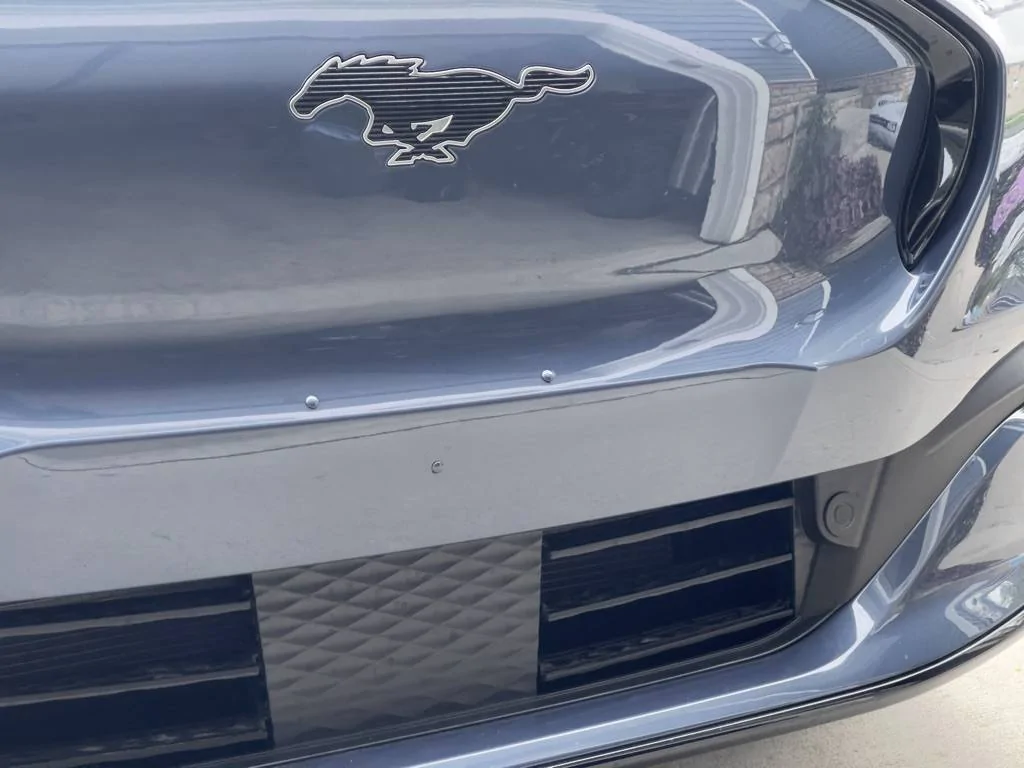 Ford Mustang Mach-E Front License Plate Bracket Delete - Does it work? 36DC02DB-9BBB-4600-989E-AF6073D6D599_1_105_c
