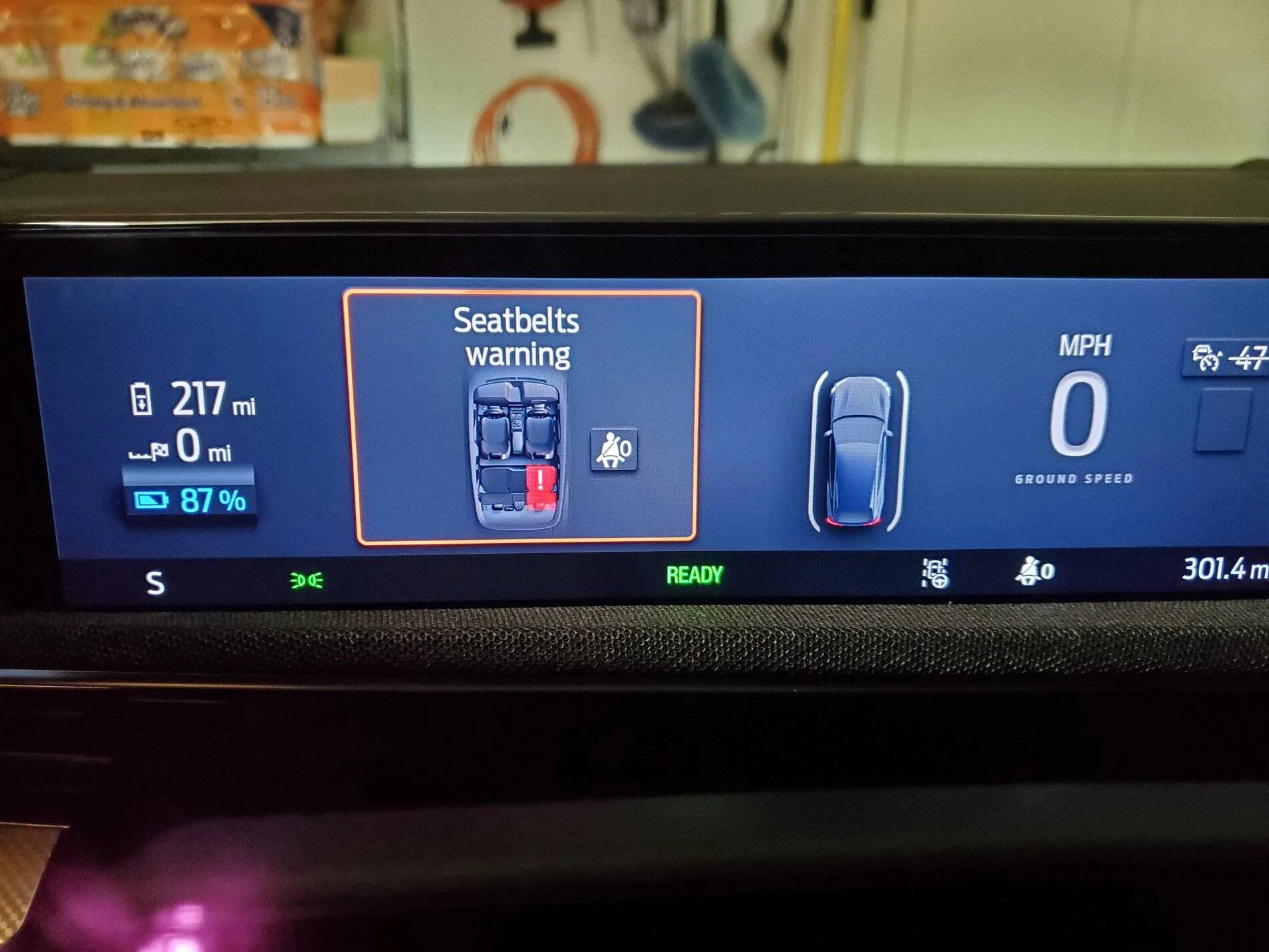 Ford Mustang Mach-E Seatbelt Warning Bug 20210414_071820
