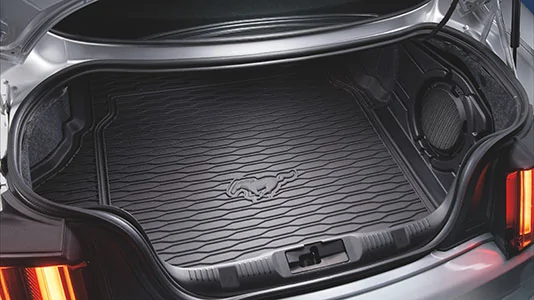 Ford Mustang Mach-E Can someone explain this odd subwoofer design? 1618407573611