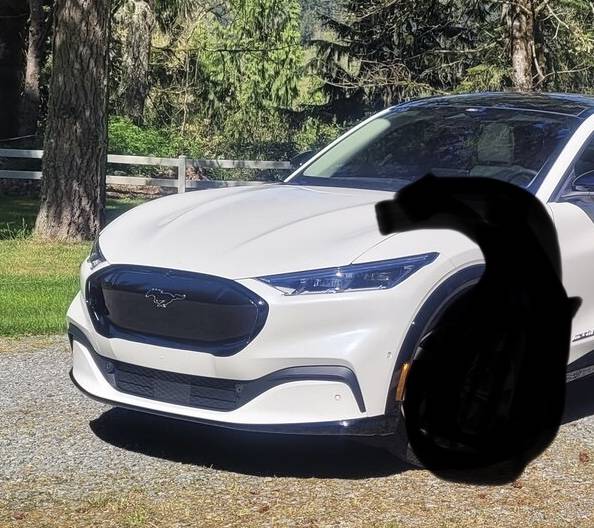 Ford Mustang Mach-E 3M Matrix Black vinyl wrapped Mach-E grill 6C80B203-1D7D-46FF-8BE0-A2F185EAAAB1