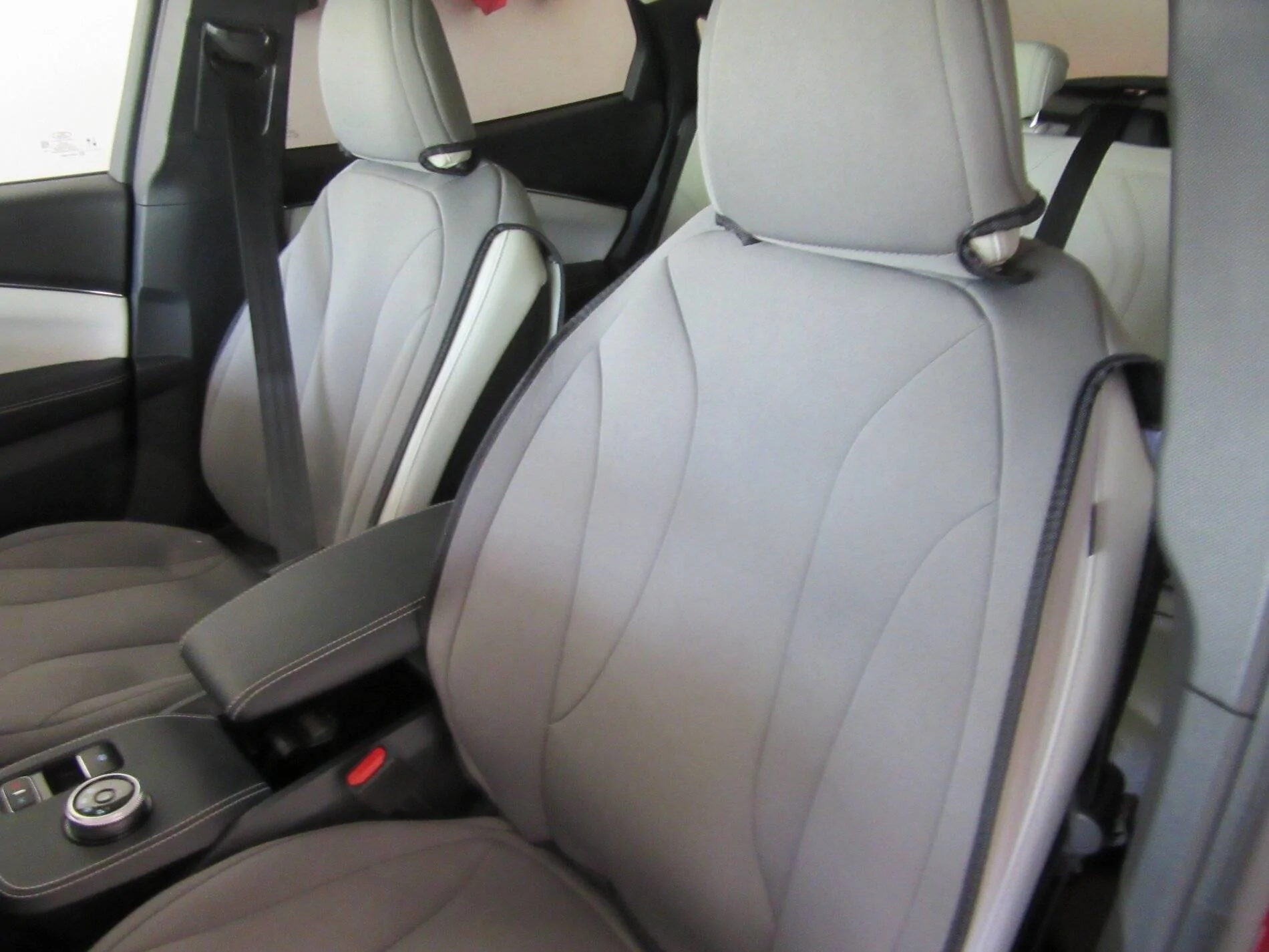 Ford Mustang Mach-E Rear Seat Cover IMG_3291