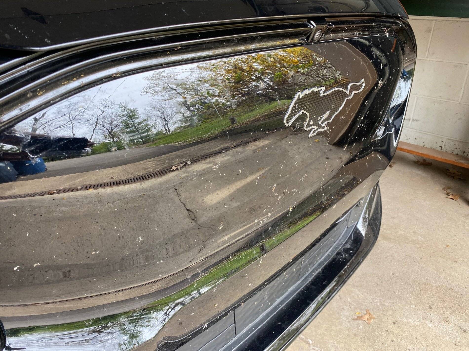 Ford Mustang Mach-E 1,100-Mile Road Trip: Impressions on Mach E and Charging Infrastructure m31