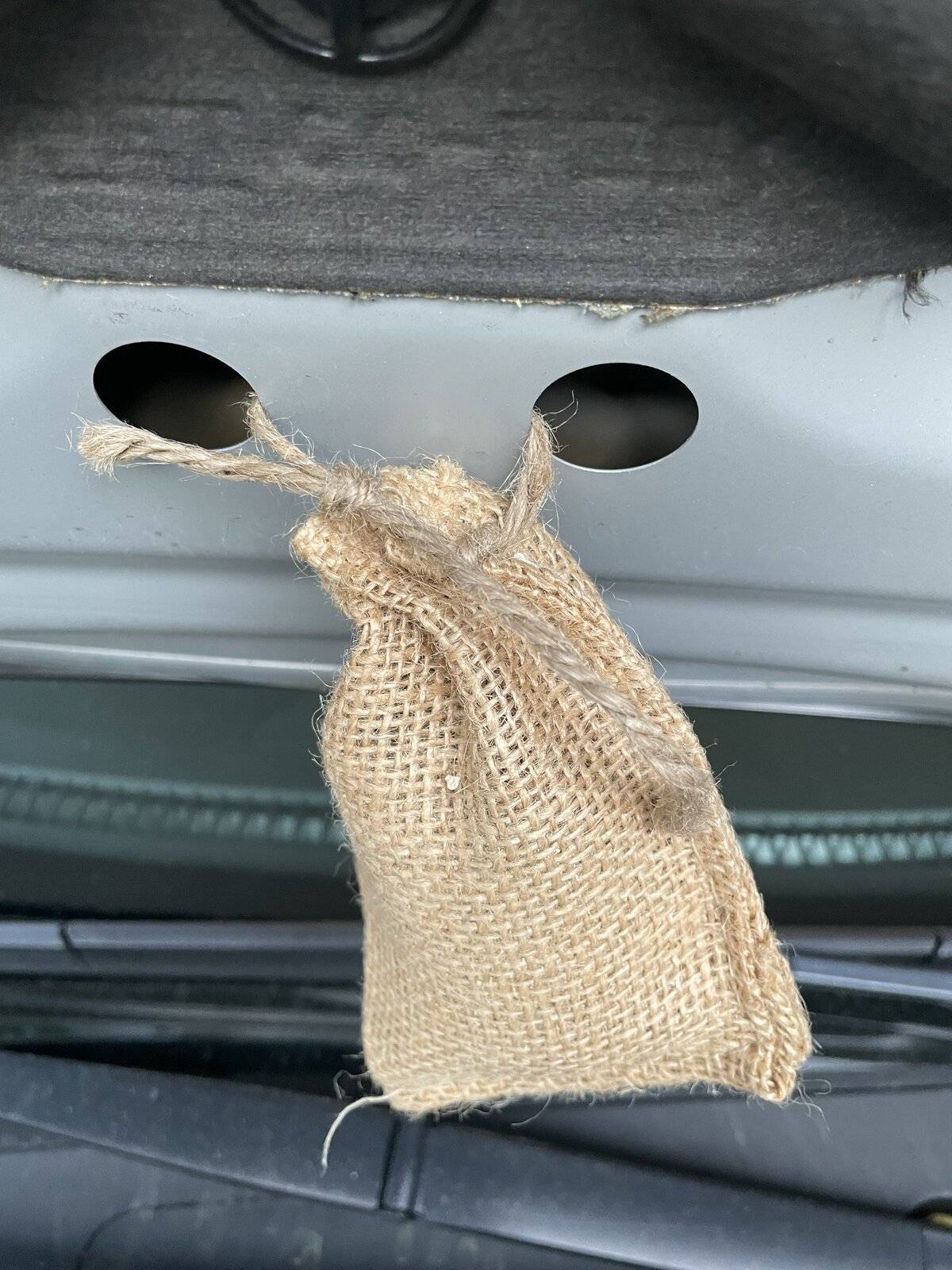 Ford Mustang Mach-E Feature Request - Ultrasonic Rodent Repeller 4B337848-A7CE-4A6F-866E-34D2270C92B2