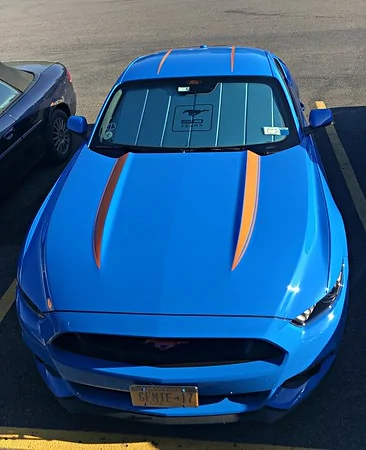 Ford Mustang Mach-E Big Worm Graphix is looking for a Texas Mach-E Owner i-NrckvCF-M