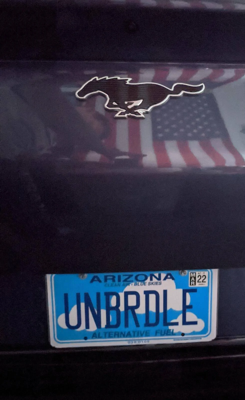 Ford Mustang Mach-E Custom license plate ideas 1620587596390