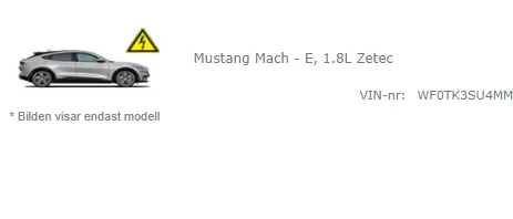 Ford Mustang Mach-E Swedish Customers 1620631701452