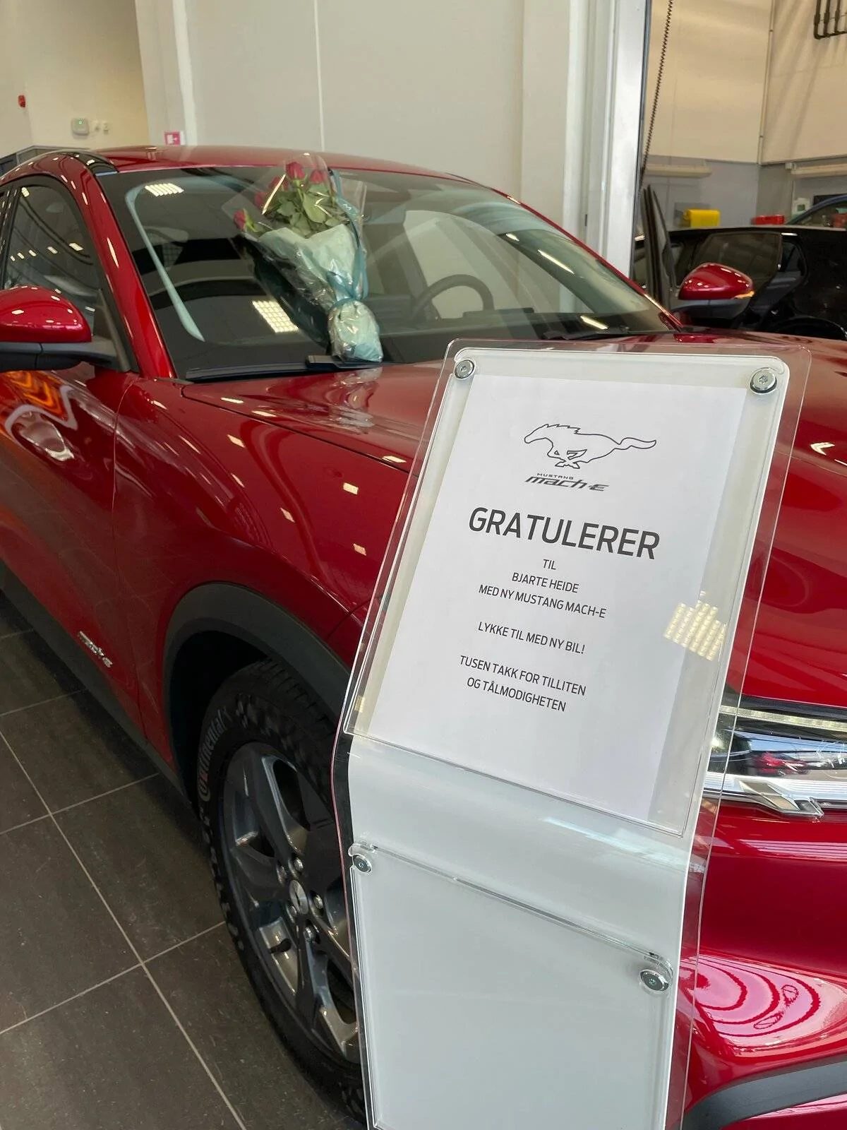 Ford Mustang Mach-E Norway - Mach-E Owners image7