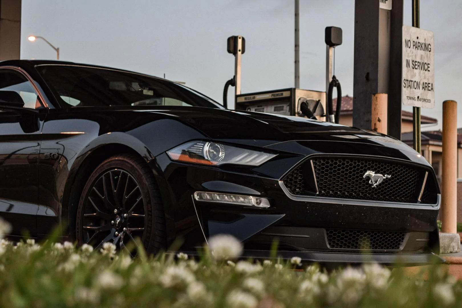 Ford Mustang Mach-E Traded my 2019 PP1 GT for Mach-E! 90CF2A2A-61B8-4F6D-8E30-38D8335655E7