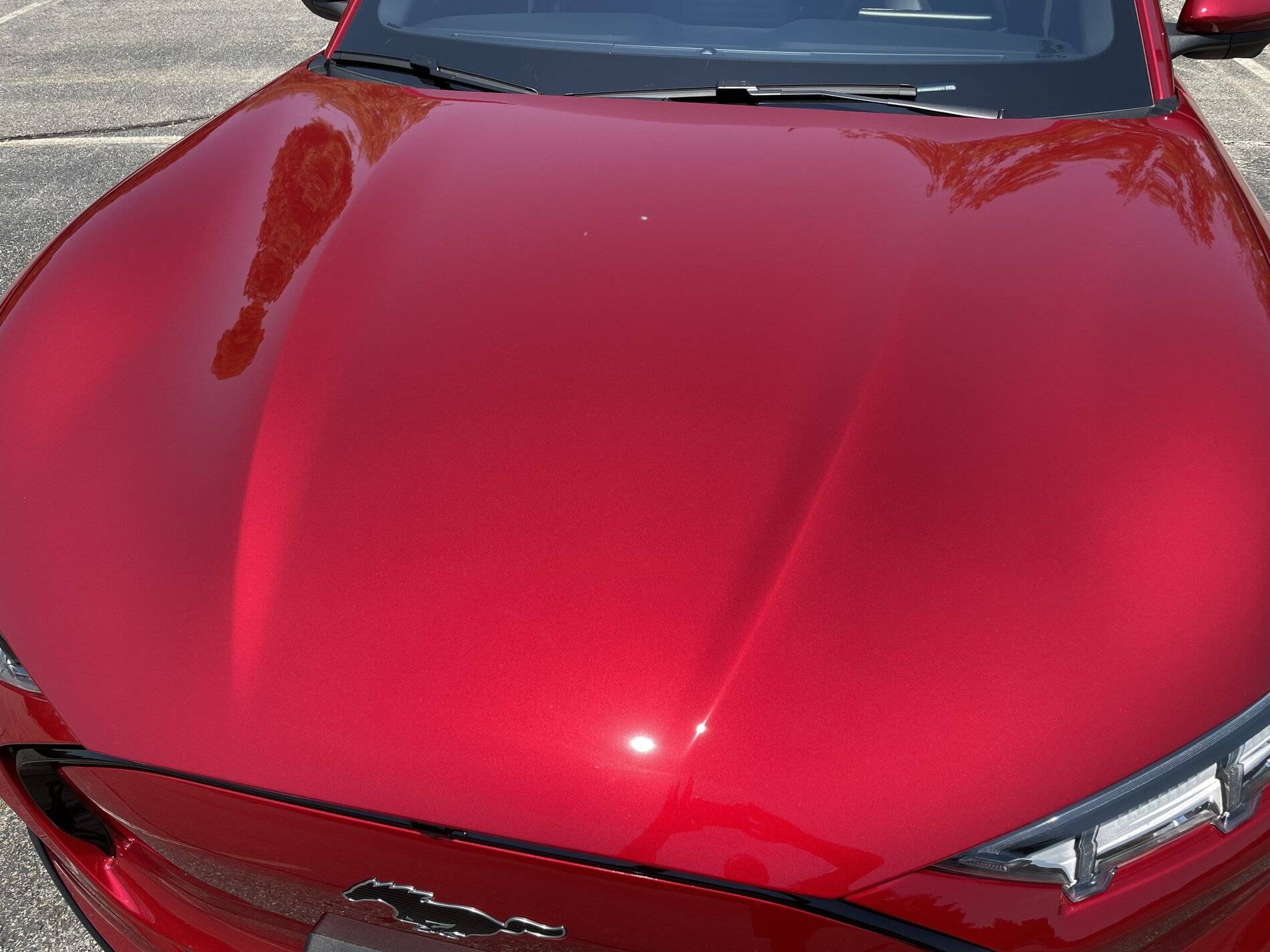 Ford Mustang Mach-E Help! PPF or not? 35FB6AA5-9A87-4EFE-AE62-DC7D8FE1E22E