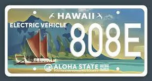 Ford Mustang Mach-E Does your state issue special "EV" plate yet? 1621702160234