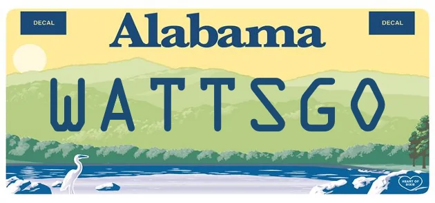 Ford Mustang Mach-E Custom license plate ideas WATTSG0