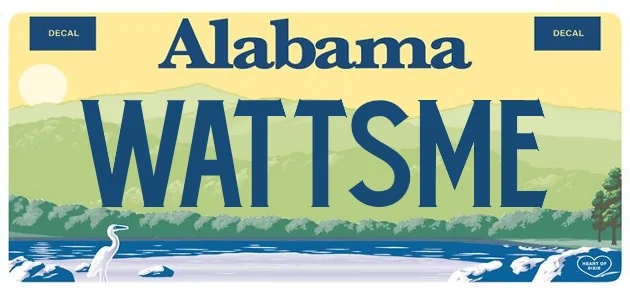 Ford Mustang Mach-E Custom license plate ideas wattsm