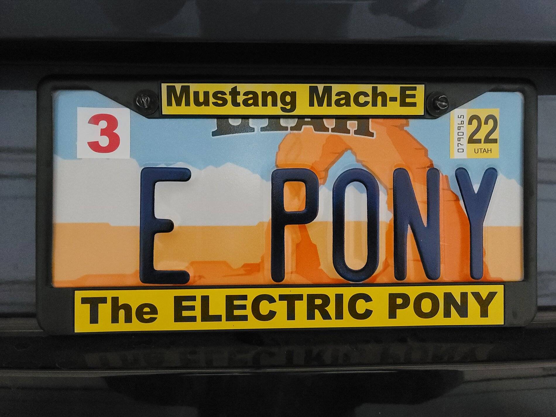Ford Mustang Mach-E Custom license plate ideas 20210614_143906