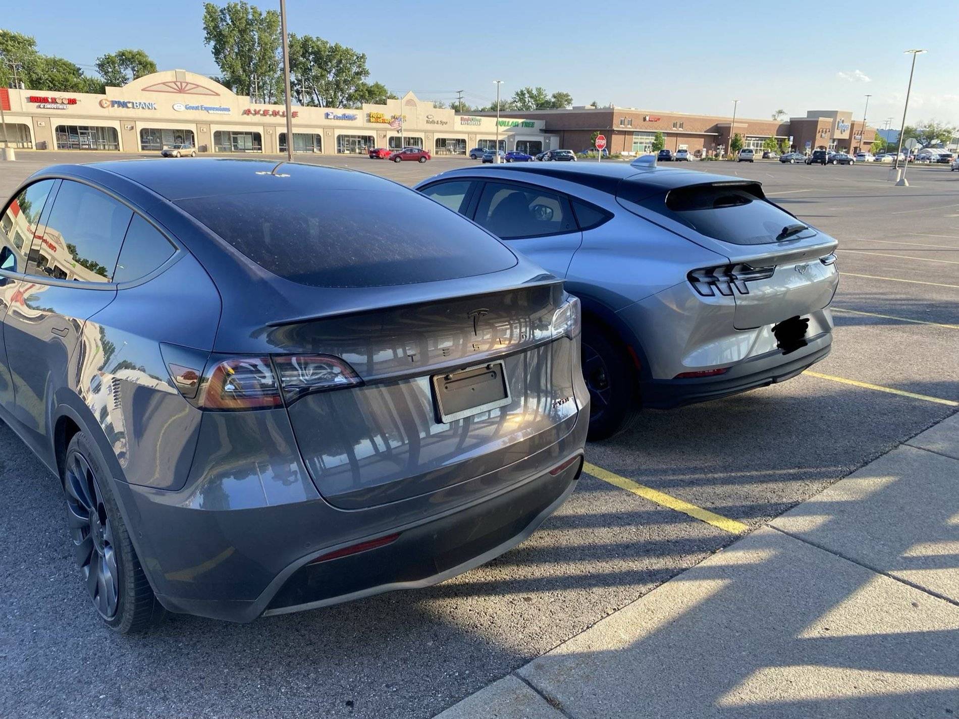 Ford Mustang Mach-E Mach-E vs Model Y Side by Side Comparison From Dearborn D6huzFT