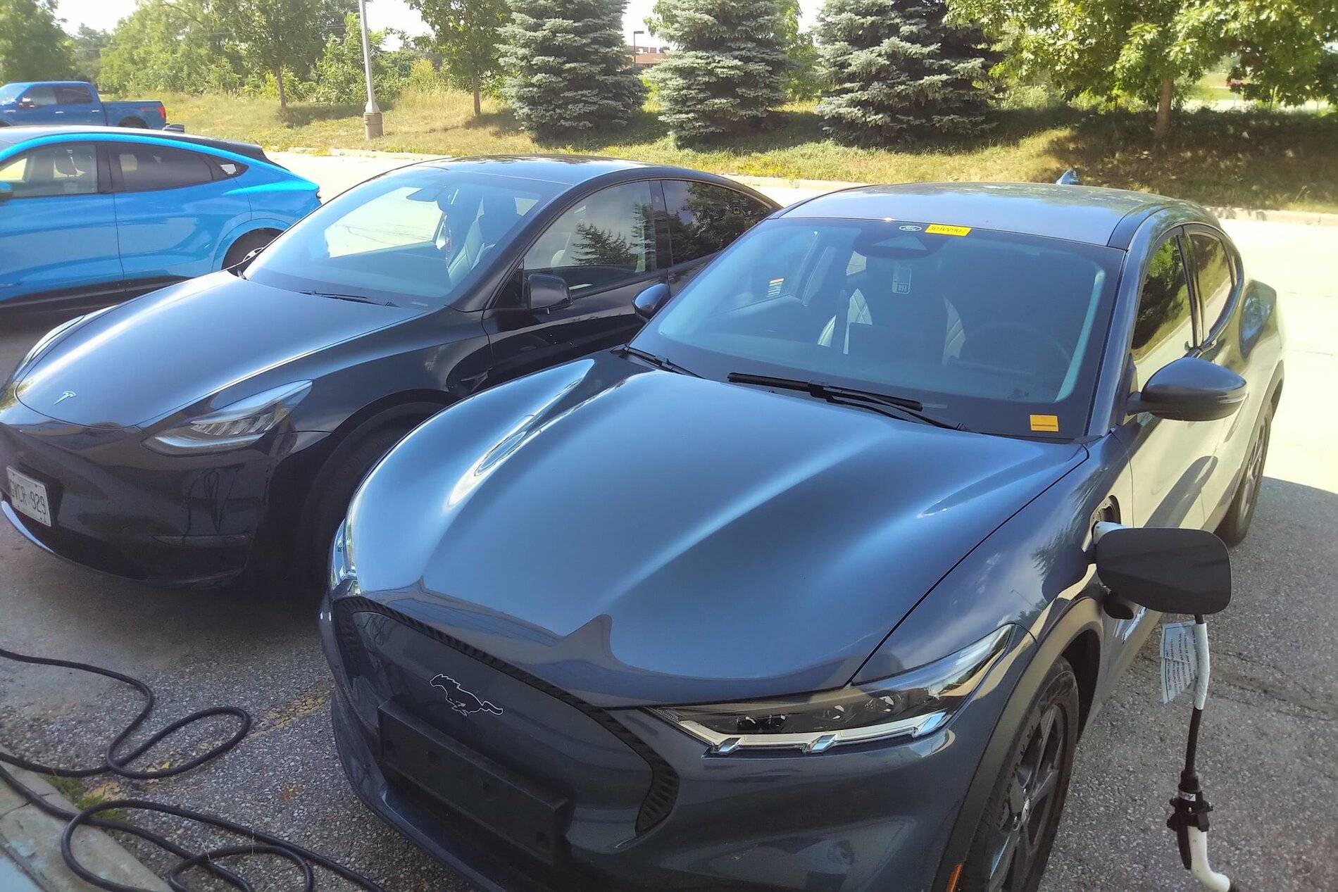 Ford Mustang Mach-E Mach E spotted charging beside a Model Y EeXK3G4XkAE6PwM