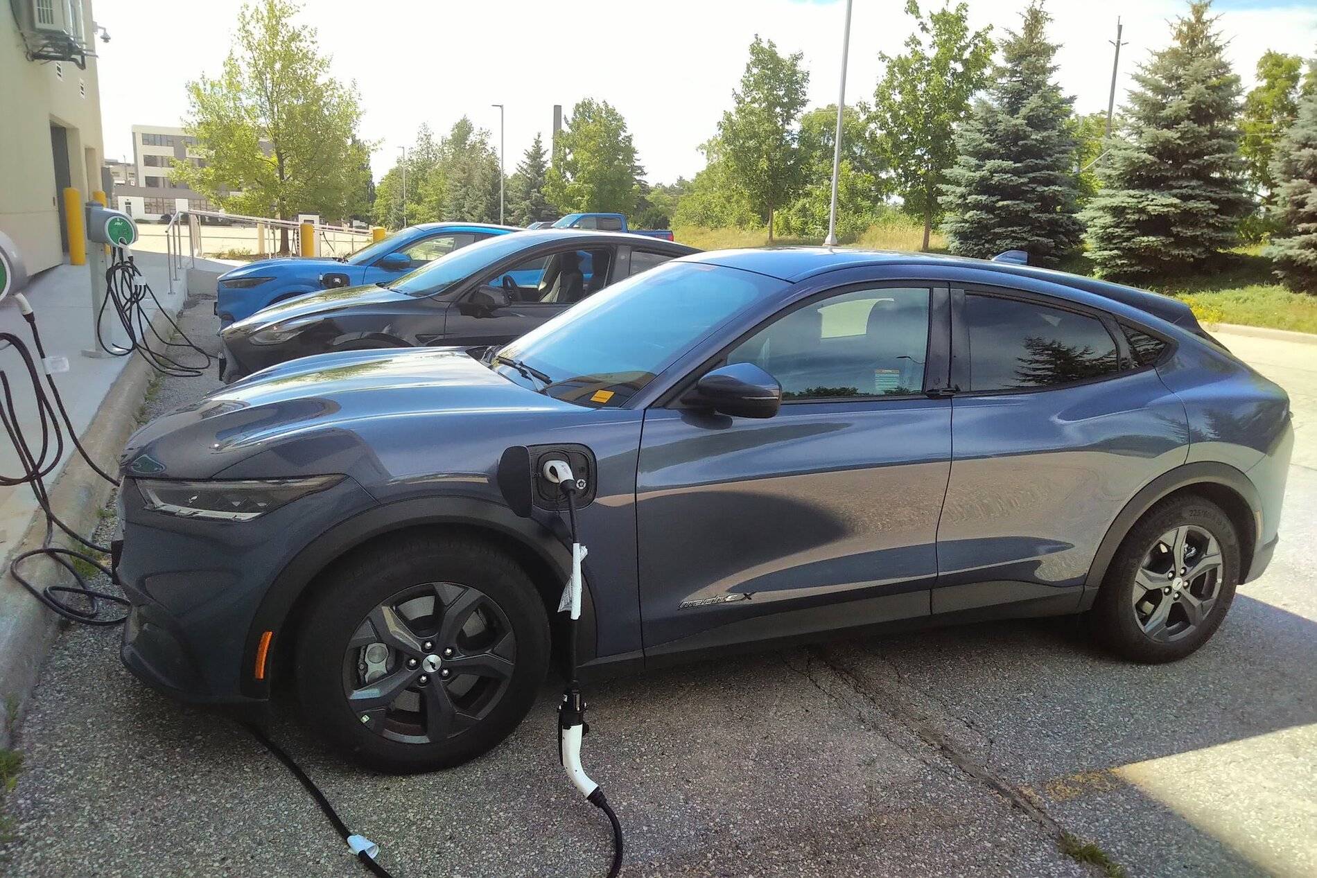 Ford Mustang Mach-E Mach E spotted charging beside a Model Y EeXK3HCWAAQ-Cjw