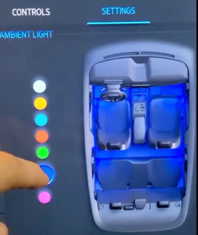 Ford Mustang Mach-E Ambient light in back?? 1624293553676