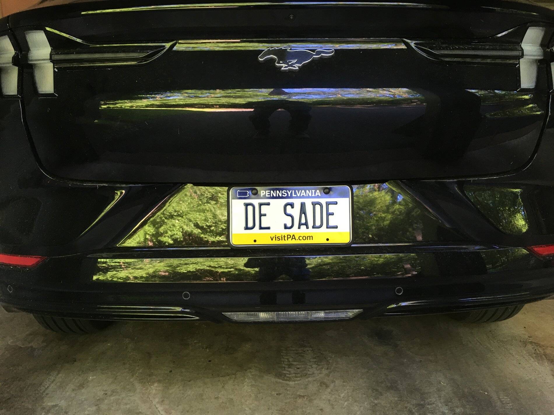 Ford Mustang Mach-E Custom license plate ideas DE SADE.JPG
