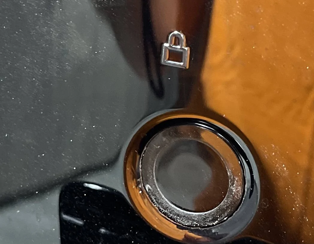 Ford Mustang Mach-E Door Entry button crack IMG_7254