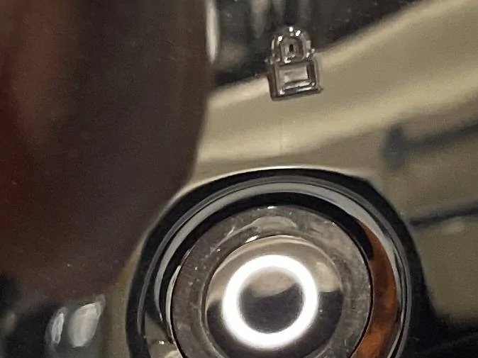 Ford Mustang Mach-E Door Entry button crack IMG_7256