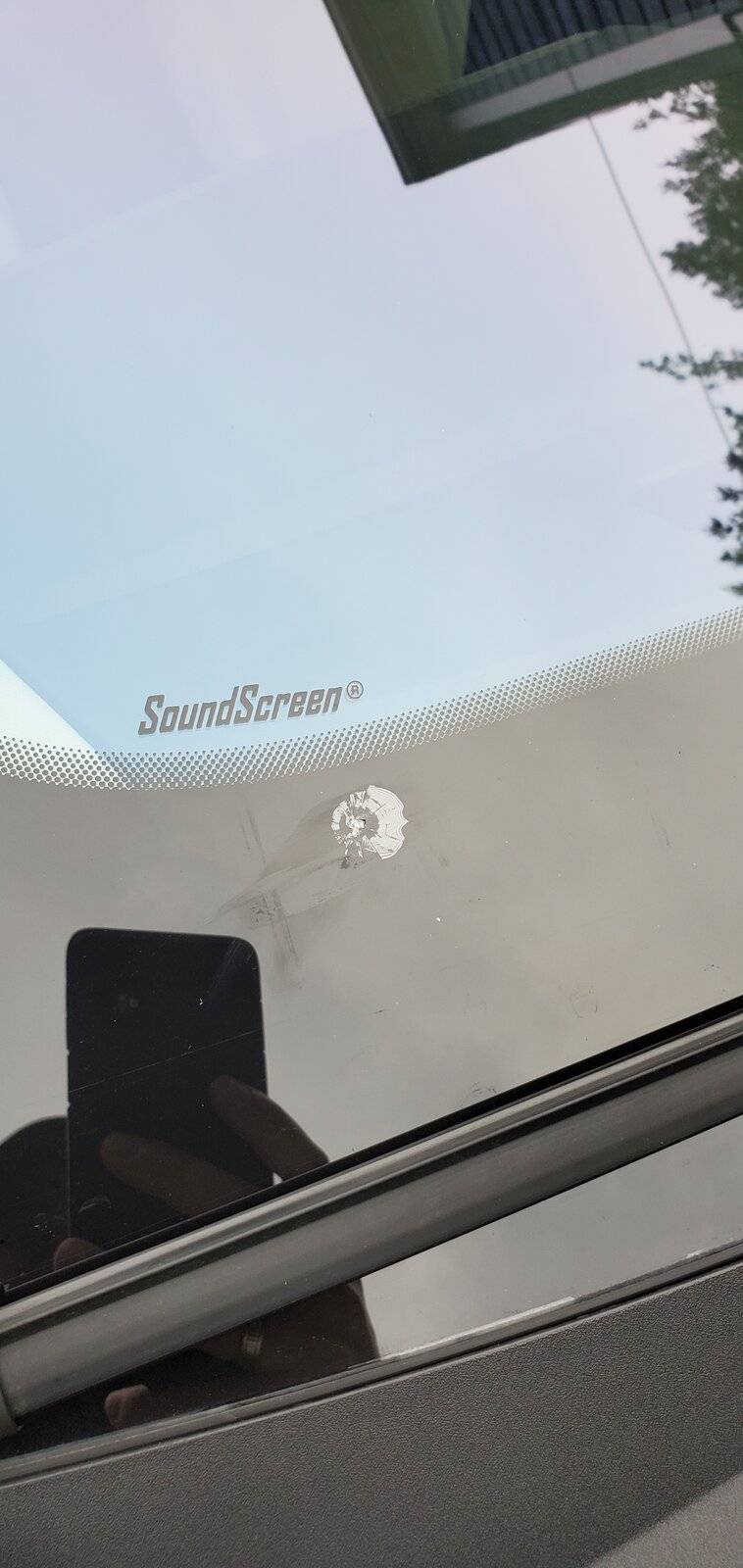 Ford Mustang Mach-E Rock chip on windshield ? 20210626_193746