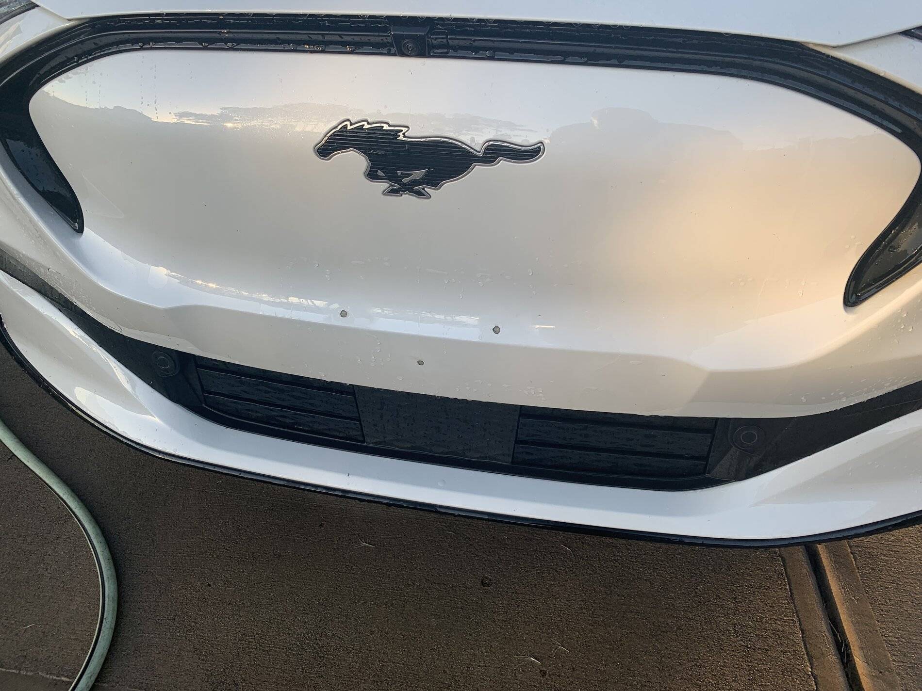 Ford Mustang Mach-E Stupid license plate holes 94A6CCA2-66E3-427E-8C59-FBB7D225F7A6