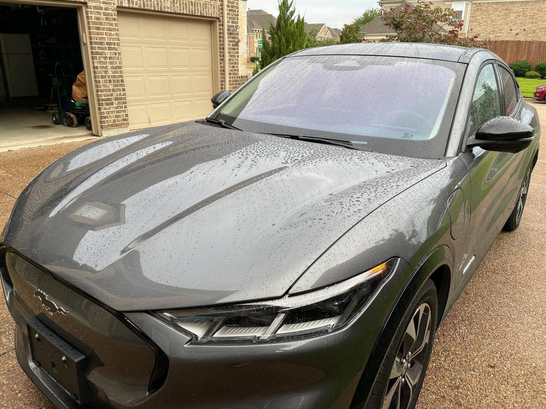 Ford Mustang Mach-E Turtle Wax Ice Seal N Shine beading over time IMG_0722