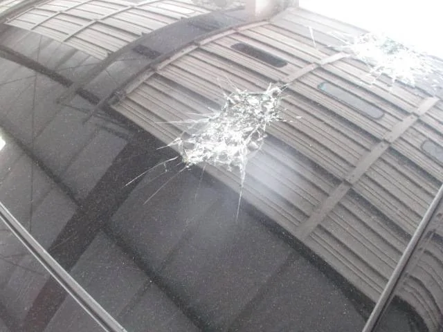 Ford Mustang Mach-E Transportation Company Cracked Sunroof IMG_0927