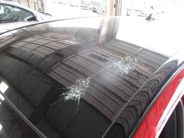 Ford Mustang Mach-E Transportation Company Cracked Sunroof IMG_0929