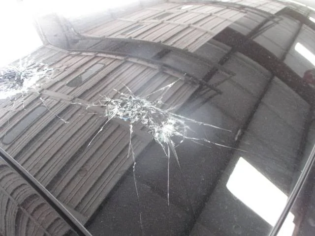 Ford Mustang Mach-E Transportation Company Cracked Sunroof IMG_0931