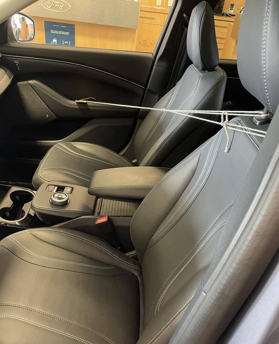 Ford Mustang Mach-E Door Stuck Open 1625240608733