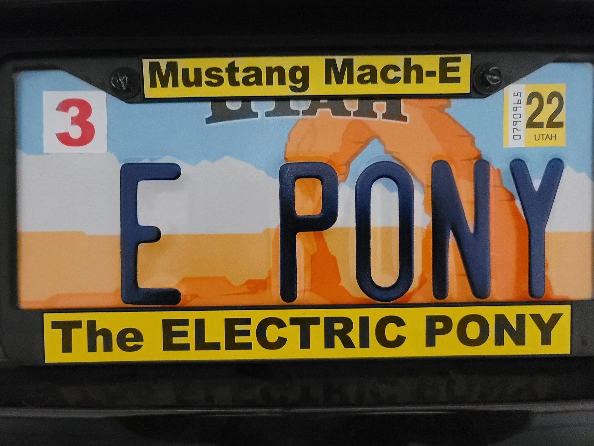 Ford Mustang Mach-E Post up your custom plates! 20210614_143850