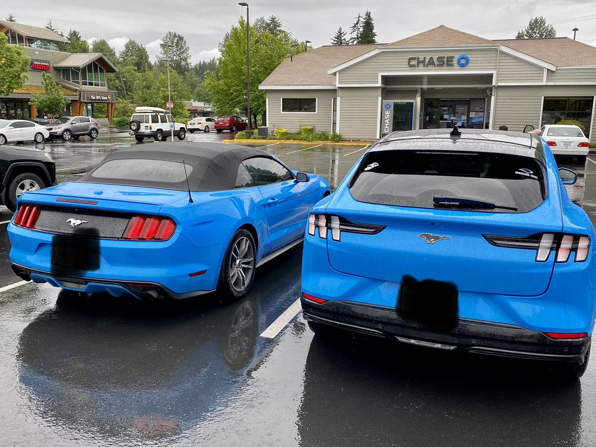 Ford Mustang Mach-E GRABBER BLUE Mach-E Photos AA7E9633-992B-4144-953B-8A95E1C12EFB