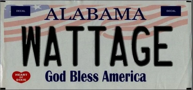 Ford Mustang Mach-E Custom license plate ideas Plat