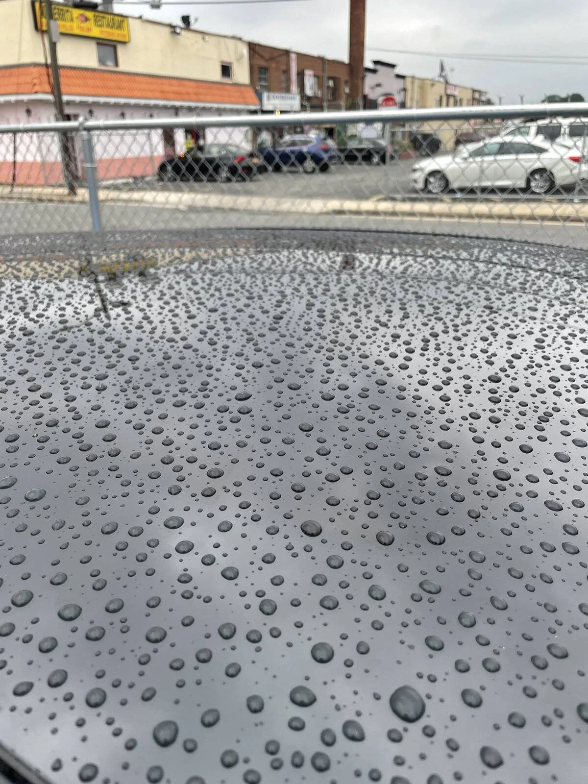 Ford Mustang Mach-E Turtle Wax Ice Seal N Shine beading over time IMG_5709