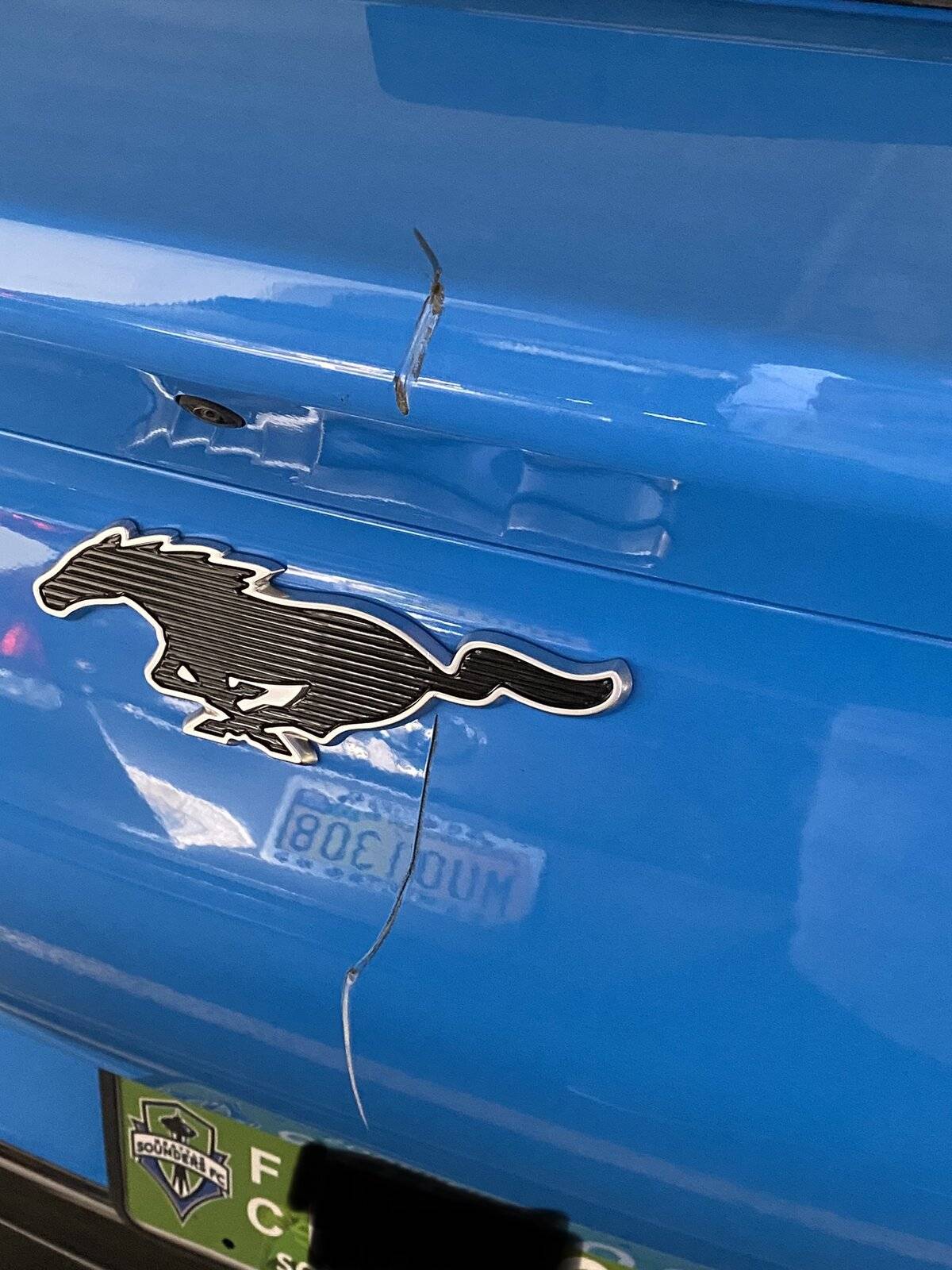 Ford Mustang Mach-E GRABBER BLUE Mach-E Photos E7C25CE3-BE8F-46EF-98BF-25BE7487DB16