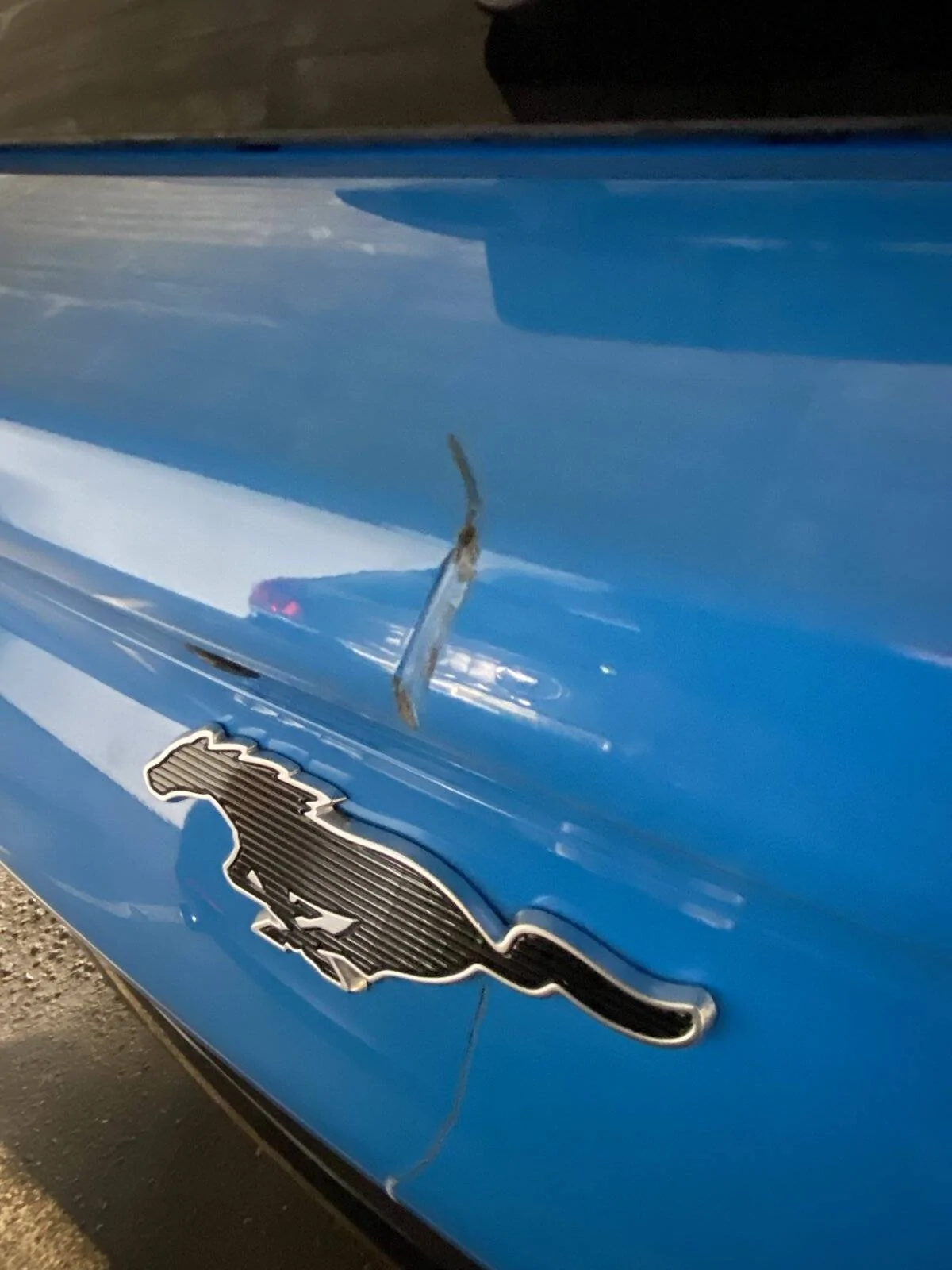 Ford Mustang Mach-E GRABBER BLUE Mach-E Photos FC1EEDE9-9F81-4192-ABF8-AAE0DC32C901