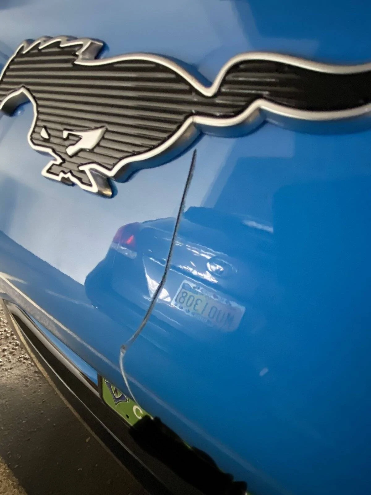 Ford Mustang Mach-E GRABBER BLUE Mach-E Photos D2D377F6-9EA3-41E0-A1A9-9707C5A04555